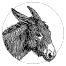 GitHub Avatar for Boldewyn