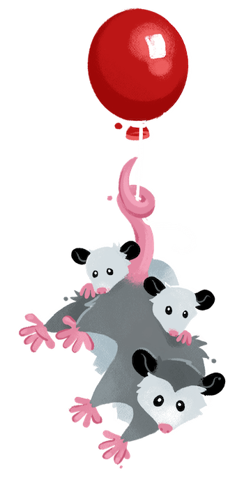 3 possums suspended from a red balloon